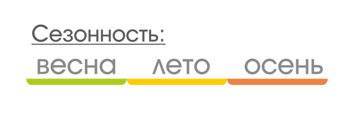 Talberg Blander 4 кемпинговая палатка